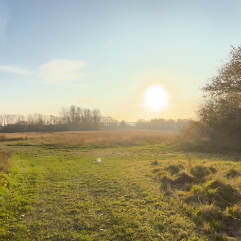 Sol over Kær Vestermark - SPOR